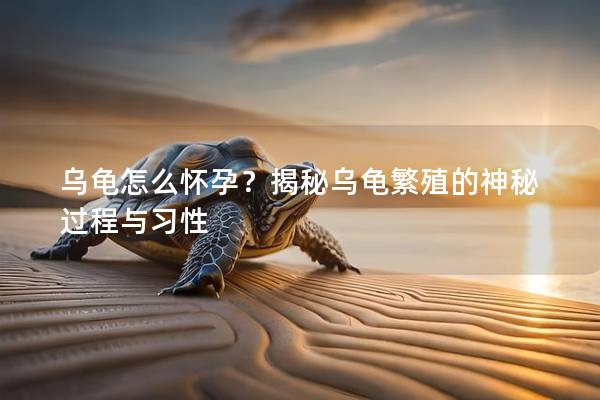 乌龟怎么怀孕？揭秘乌龟繁殖的神秘过程与习性