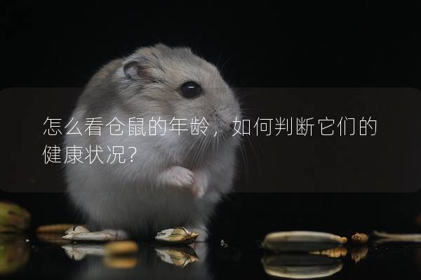 怎么看仓鼠的年龄，如何判断它们的健康状况？