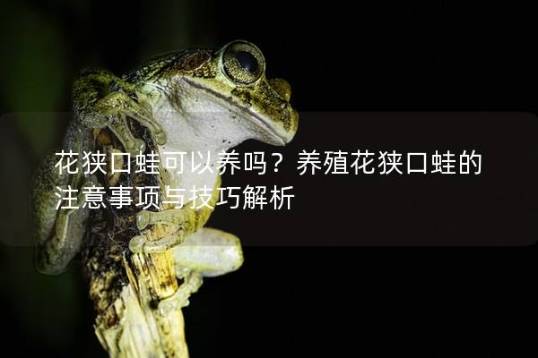 花狭口蛙可以养吗？养殖花狭口蛙的注意事项与技巧解析