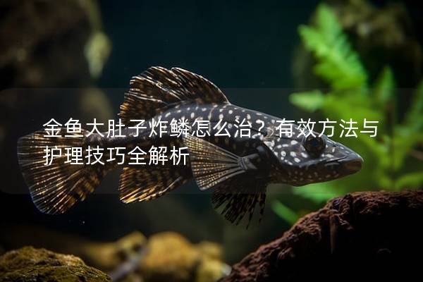 金鱼大肚子炸鳞怎么治？有效方法与护理技巧全解析