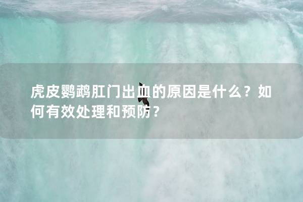 虎皮鹦鹉肛门出血的原因是什么？如何有效处理和预防？