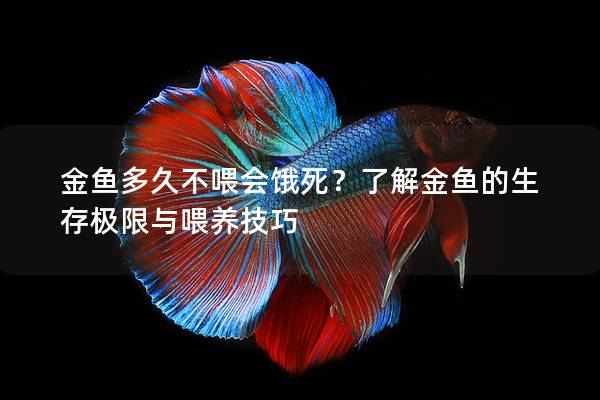 金鱼多久不喂会饿死？了解金鱼的生存极限与喂养技巧