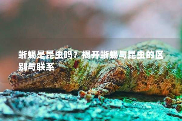 蜥蜴是昆虫吗？揭开蜥蜴与昆虫的区别与联系