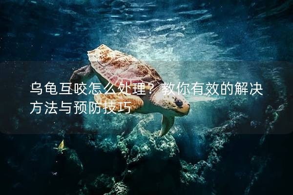 乌龟互咬怎么处理？教你有效的解决方法与预防技巧