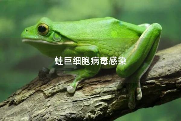 蛙巨细胞病毒感染