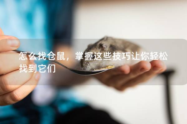 怎么找仓鼠，掌握这些技巧让你轻松找到它们