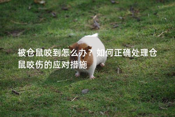 被仓鼠咬到怎么办？如何正确处理仓鼠咬伤的应对措施