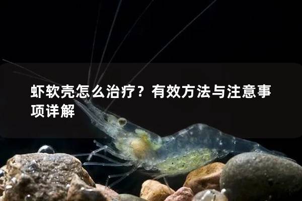 虾软壳怎么治疗？有效方法与注意事项详解