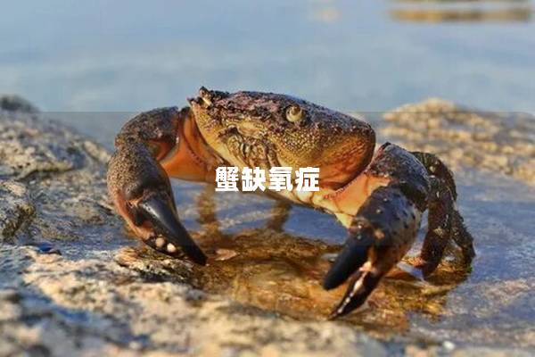 蟹缺氧症