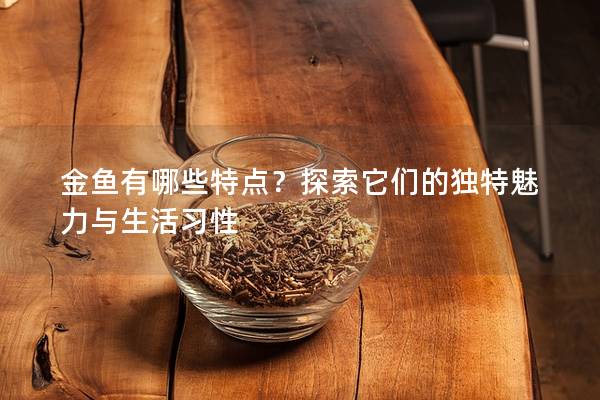 金鱼有哪些特点？探索它们的独特魅力与生活习性