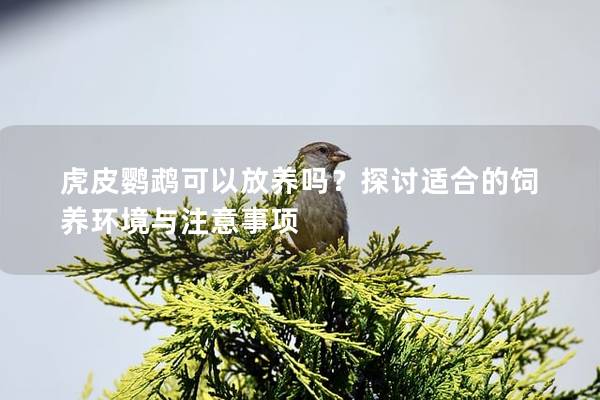 虎皮鹦鹉可以放养吗？探讨适合的饲养环境与注意事项