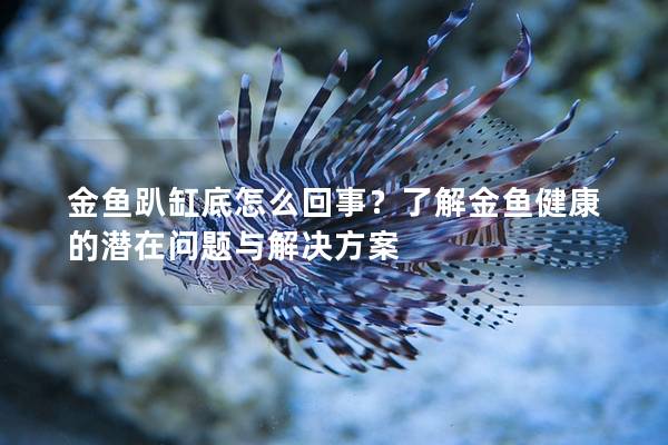 金鱼趴缸底怎么回事？了解金鱼健康的潜在问题与解决方案