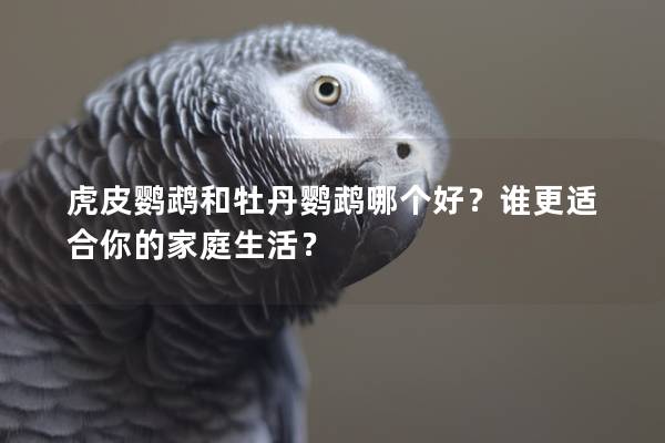 虎皮鹦鹉和牡丹鹦鹉哪个好？谁更适合你的家庭生活？