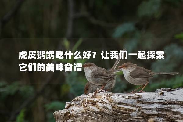 虎皮鹦鹉吃什么好？让我们一起探索它们的美味食谱