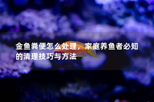 金鱼粪便怎么处理，家庭养鱼者必知的清理技巧与方法