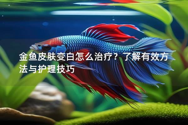 金鱼皮肤变白怎么治疗？了解有效方法与护理技巧