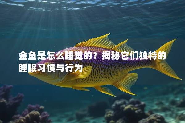 金鱼是怎么睡觉的？揭秘它们独特的睡眠习惯与行为