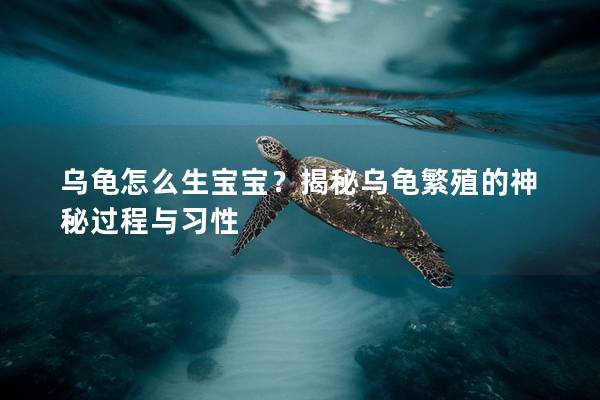 乌龟怎么生宝宝？揭秘乌龟繁殖的神秘过程与习性