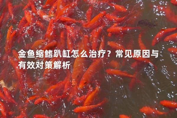 金鱼缩鳍趴缸怎么治疗？常见原因与有效对策解析