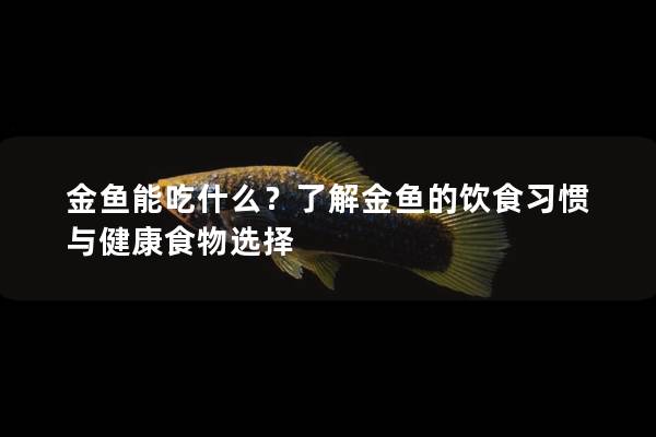 金鱼能吃什么？了解金鱼的饮食习惯与健康食物选择