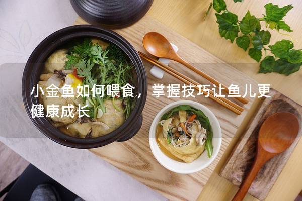 小金鱼如何喂食，掌握技巧让鱼儿更健康成长