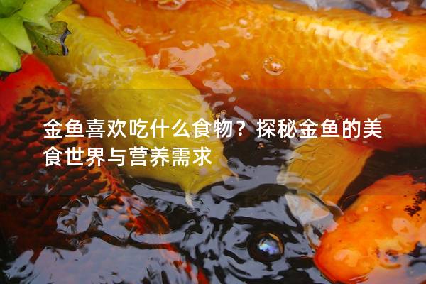 金鱼喜欢吃什么食物？探秘金鱼的美食世界与营养需求