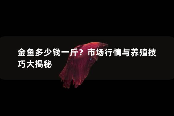 金鱼多少钱一斤？市场行情与养殖技巧大揭秘