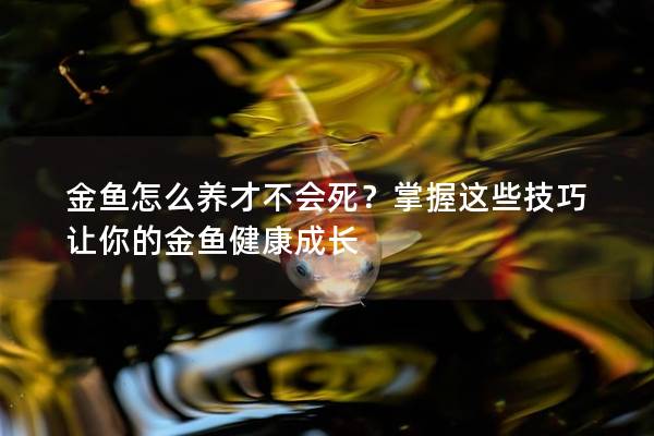 金鱼怎么养才不会死？掌握这些技巧让你的金鱼健康成长