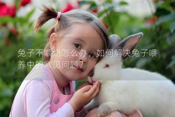 兔子不喂奶怎么办，如何解决兔子喂养中的常见问题？