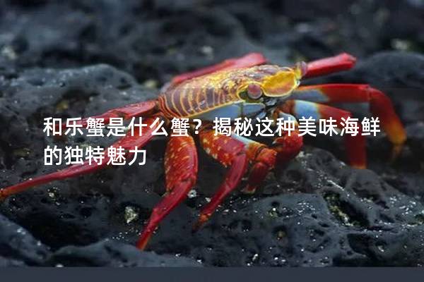 和乐蟹是什么蟹？揭秘这种美味海鲜的独特魅力