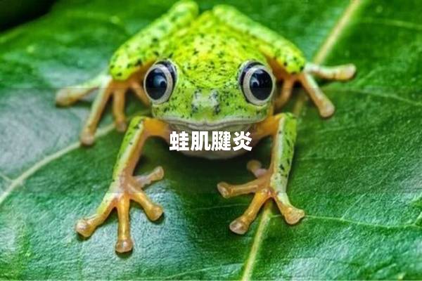 蛙肌腱炎