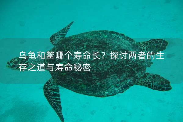 乌龟和鳖哪个寿命长？探讨两者的生存之道与寿命秘密