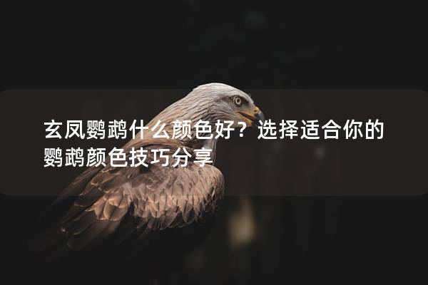 玄凤鹦鹉什么颜色好？选择适合你的鹦鹉颜色技巧分享