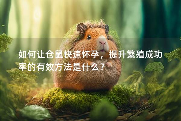 如何让仓鼠快速怀孕，提升繁殖成功率的有效方法是什么？