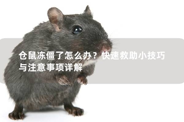 仓鼠冻僵了怎么办？快速救助小技巧与注意事项详解