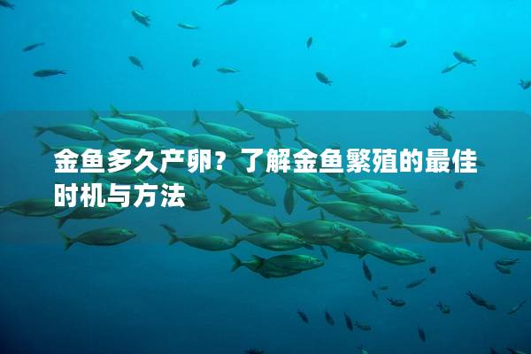 金鱼多久产卵？了解金鱼繁殖的最佳时机与方法