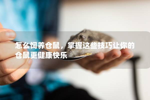 怎么饲养仓鼠，掌握这些技巧让你的仓鼠更健康快乐