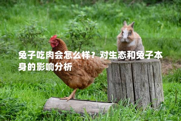 兔子吃肉会怎么样？对生态和兔子本身的影响分析