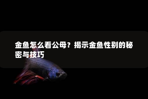 金鱼怎么看公母？揭示金鱼性别的秘密与技巧