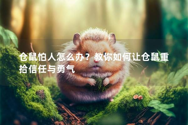 仓鼠怕人怎么办？教你如何让仓鼠重拾信任与勇气