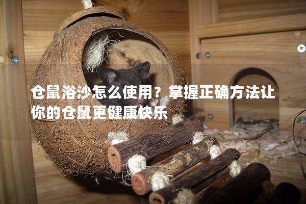 仓鼠浴沙怎么使用？掌握正确方法让你的仓鼠更健康快乐