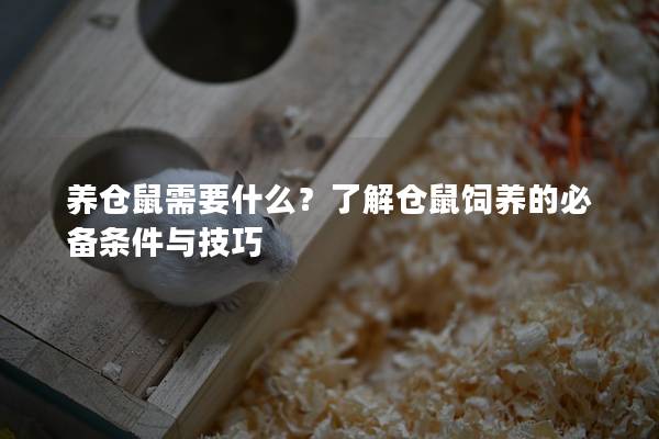 养仓鼠需要什么？了解仓鼠饲养的必备条件与技巧