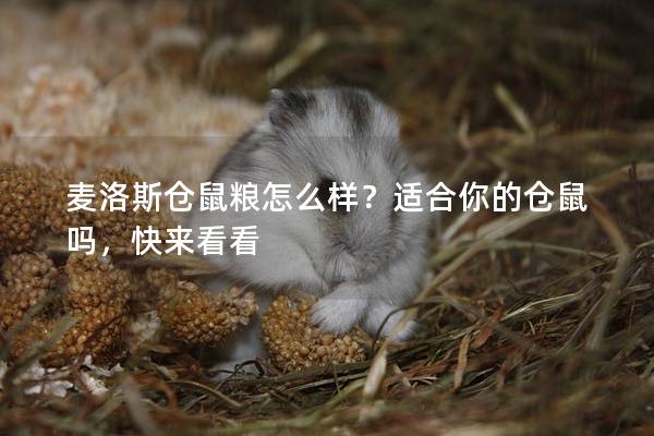 麦洛斯仓鼠粮怎么样？适合你的仓鼠吗，快来看看