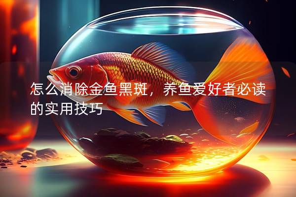 怎么消除金鱼黑斑，养鱼爱好者必读的实用技巧