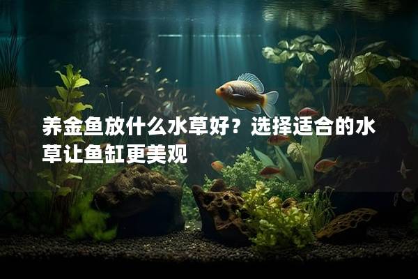 养金鱼放什么水草好？选择适合的水草让鱼缸更美观