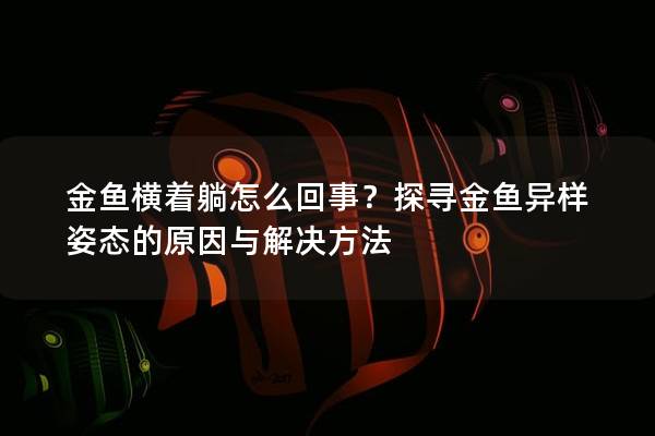 金鱼横着躺怎么回事？探寻金鱼异样姿态的原因与解决方法