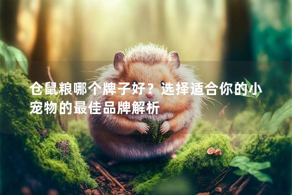 仓鼠粮哪个牌子好？选择适合你的小宠物的最佳品牌解析