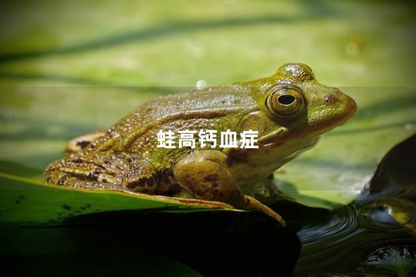 蛙高钙血症