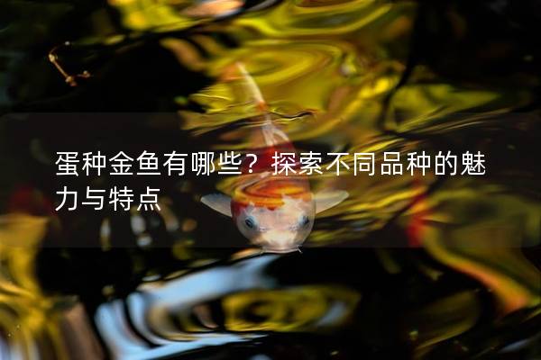 蛋种金鱼有哪些？探索不同品种的魅力与特点