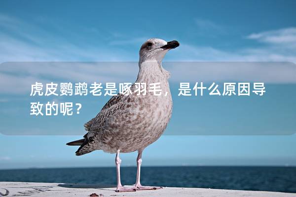 虎皮鹦鹉老是啄羽毛，是什么原因导致的呢？